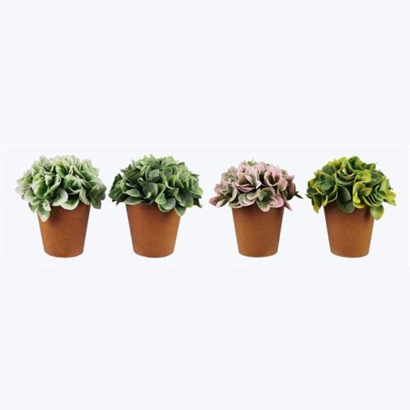 6.5 In. Artificial Potted Succulents In Terracotta-Like Pots With Green & Yellow - Picture 3 of 4